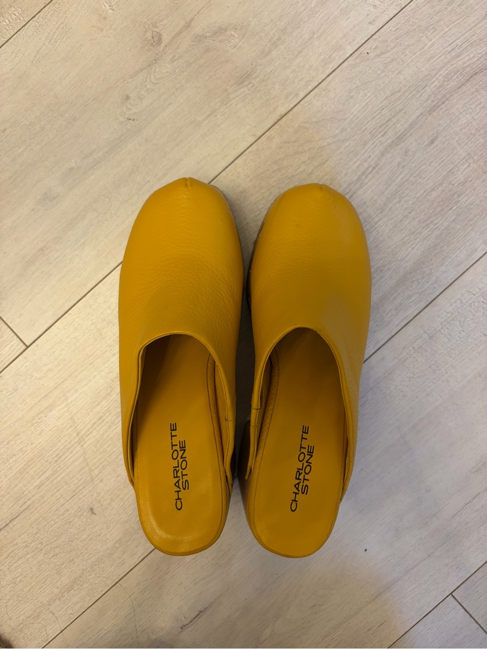Charlotte Stone Mustard Leather Slip-On Mules